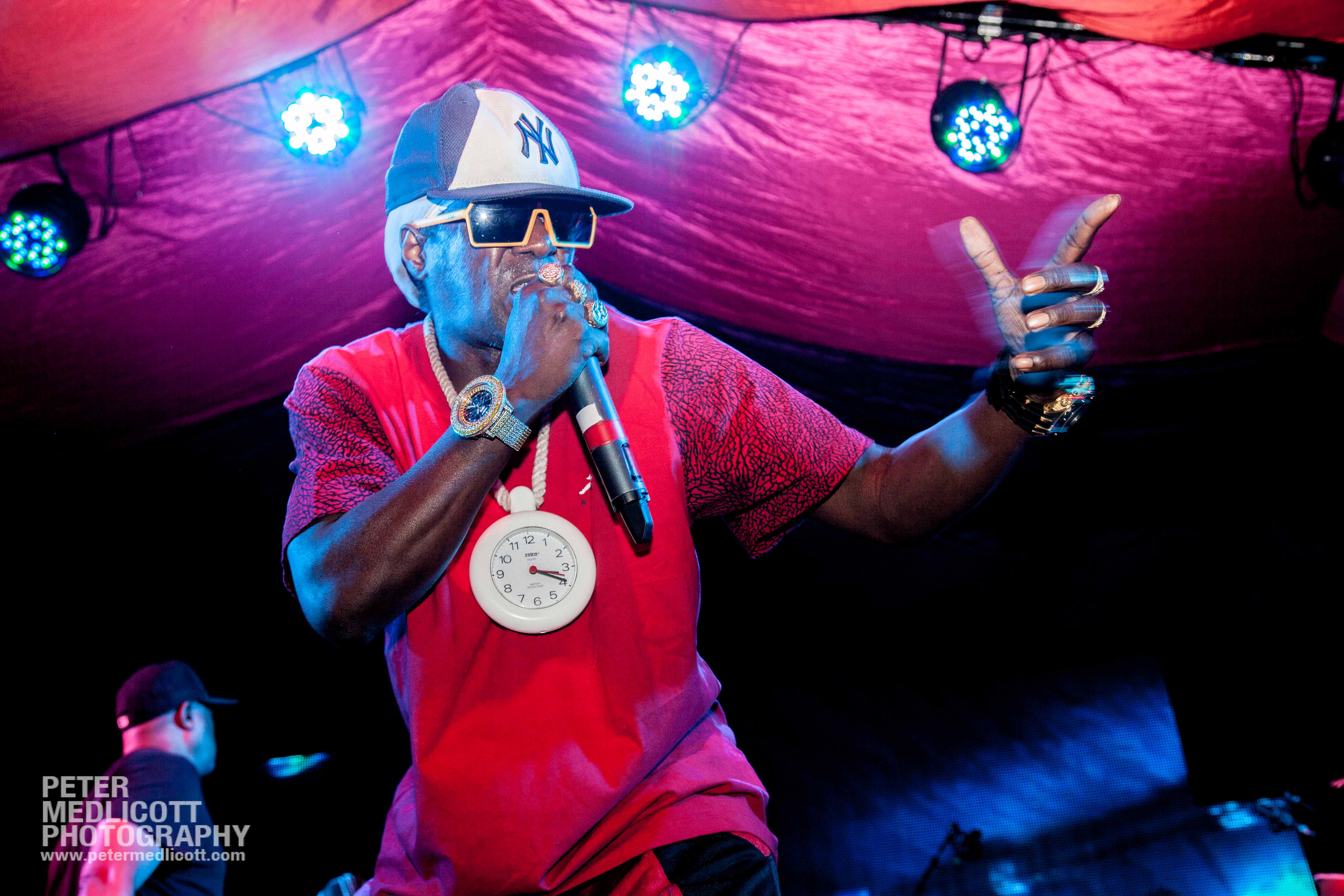 Public Enemy Flava Flav Live on Stage Mostly Jazz Festival Birmingham